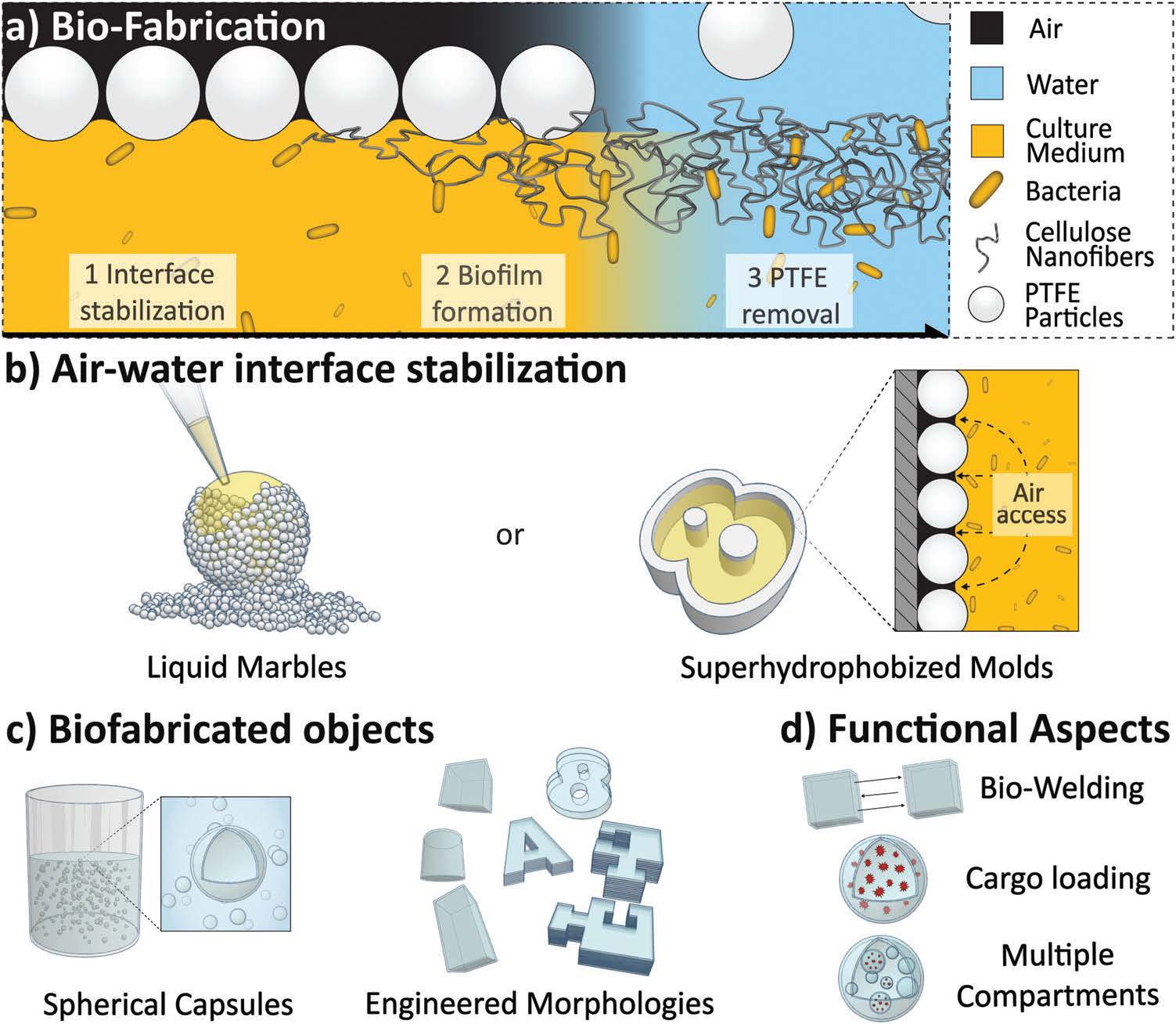 Ligno-nanocellulose And Bacterial Cellulose | Rojas Group